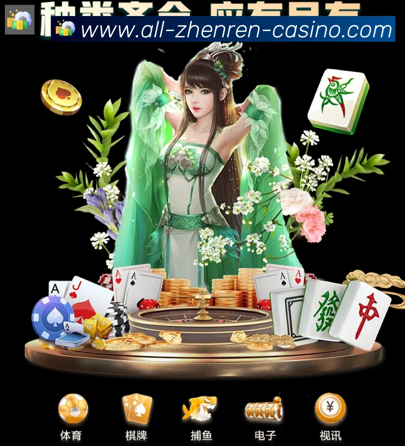 未来规划